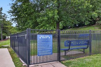 Spacious leash-less dog park